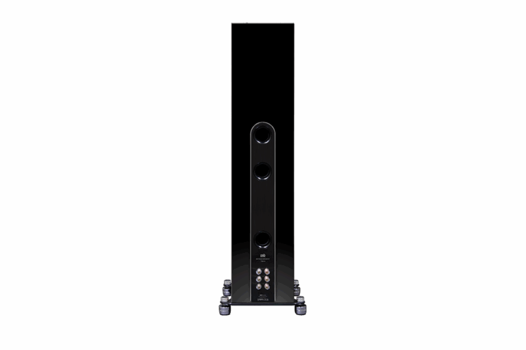 Synchrony-T800-Rear---Black